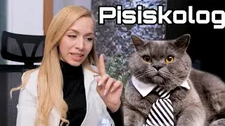 Şakir'in Psikolog Macerası | Kedim Konuşuyor | Kedi Videoları | Kedi Vlog | Cat Videos