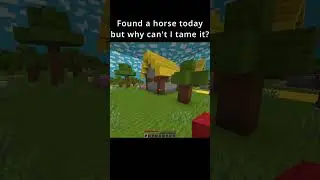 Minecraft Horse