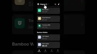 Generate your CSCS, CHN, US Stocks ID numbers on Bamboo - #investbamboo