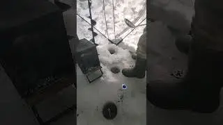🤣🤣🤣