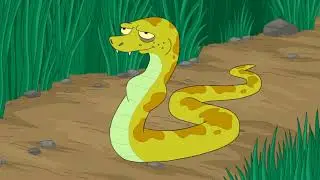 Snake vore bird
