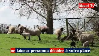 ne laisser personne décider à votre place
