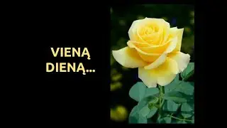 Vieną dieną...