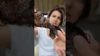 Vegan chicken skin