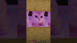 Miau😍 But It's Minecraft Map Animation 