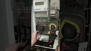 16 августа 2024 г.