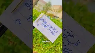 #naat #naatstatus