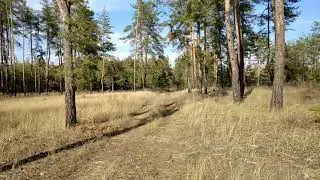 скромный коп) первый царёк сезона)