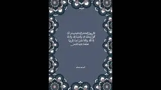 أَحَبُّ إِلَيَّ ممَّا طَلَعَتْ عليه الشَّمْسُ