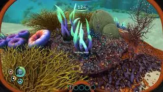Accrettio Subnautica Let's try - 001 First look