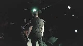 Bird Problems Vlog : Toronto