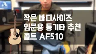 작은 바디사이즈 입문용 통기타 추천 콜트 AF510