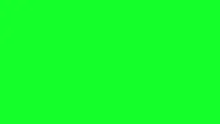 coffin dance green screen meme (full edition)