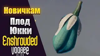 Enshrouded : Как и Где Найти Плод Юкки + Пальмовое Бревно  | Гайд НОВИЧКАМ🔥