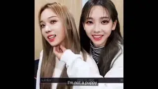 They Need Attention Each Others | Winter Karina #winrina