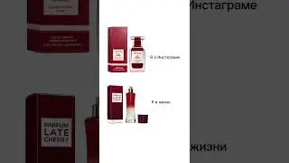 16 марта 2024 г.