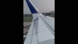 Lazy birds playing with Aircraft.       