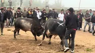 thoh lait kyrhong bs muit na jaintia