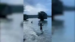 Detik-Detik Drone Jatuh menabrak Pohon