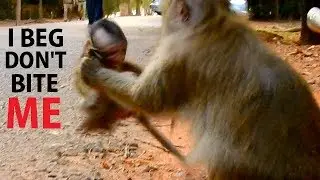 STOP ... STOP MOM I'M YOUR BABY ! Poor Tobais cry beg mom stop mistreat .