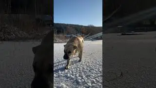 Ка де бо Бери на льду