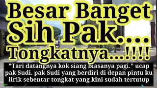 Aku Sangat Merindukan Dirimu, Kenapa Kamu Malah Cuek Padaku ll Cerpen romantis