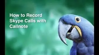 Callnote Tutorial: How to Start Skype Video Recording