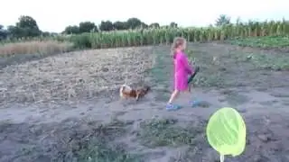 прогулка