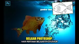 BELAJAR PHOTOSHOP | IKAN | AISAL TUTORIAL