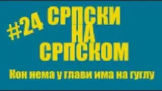#24 Srpski na srpskom - Ko nema u glavi ima na guglu