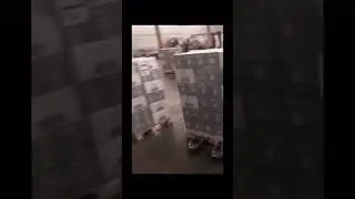 ПОГРУЗКА ФРАНЦУЗСКИХ СЛИВОК ЭЛЕВИР 