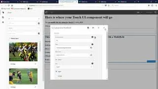 Using a Radio in an AEM Multifield