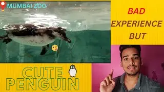A Bad Experience🥲 in MUMBAI ZOO | First Time Seen A PENGUIN🐧 | बोहत ज्यादा भीड़