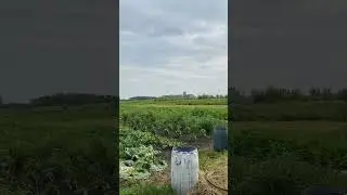 Тамбовская область - Платоновка