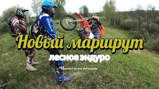 Разведка нового маршрута на мотоциклах в лесу | Доедут не все