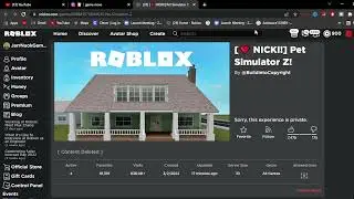 Why PET SIMULATOR X COPY is DELETED from ROBLOX..