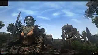 SM Boiled Netch Leather Armor Set (Morrowind) Female Cuirass Avalable