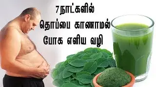 7 நாளில் தொப்பை காணாமல் போக எளிய வழி |drumstick leaves juice | Health Tips |  S WEB TV