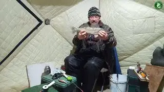 ЗА СУДАКОМ С РАЗВЕДКОЙ НА ТОБОЛ! РЫБАЛКА С НОЧЕВКОЙ В ПАЛАТКЕ И НА ЖЕРЛИЦЫ! СЕЗОН ДЕКАБРЬ 2021/2022!