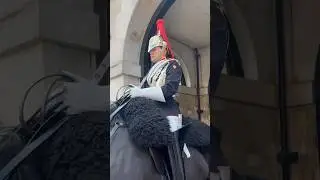 The Kings Guard Bombastic Side Eye 😂