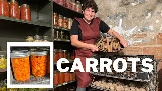 PRESERVING CARROTS (and babies in the barn)