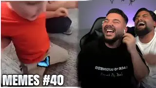 Schmetterling greift an🦋😂 | EHRENLOSE MEMES #40 LACHFLASH EDITION