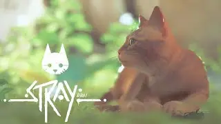 1№ Stray Котик и Роботы: прохождение без комментариев