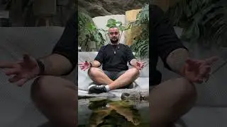 Солнц, пиши в комментариях какой праздник точно стоит отметить!