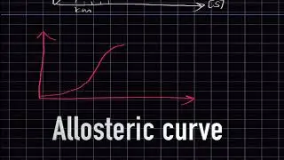 Enzyme Kinetics