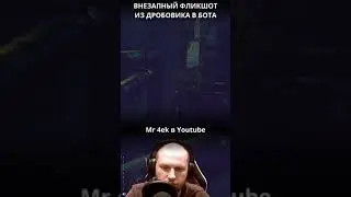 Фликшот 