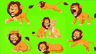 Lion green screen videos