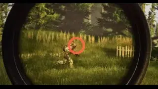 Nice shot!