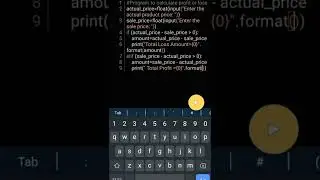 Program to calculate profit and loss in python | 