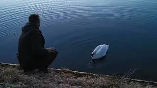 Голоден и одинок 😢